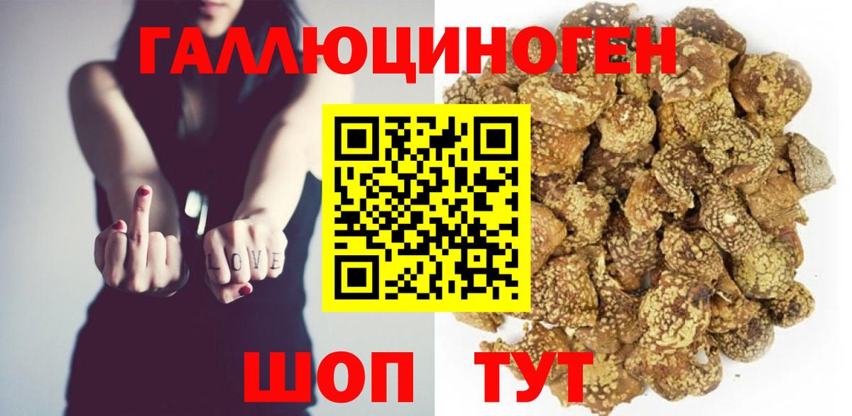 Галлюциногенные грибы GOLDEN TEACHER  Вход с VPN  купить закладку  Ялта 